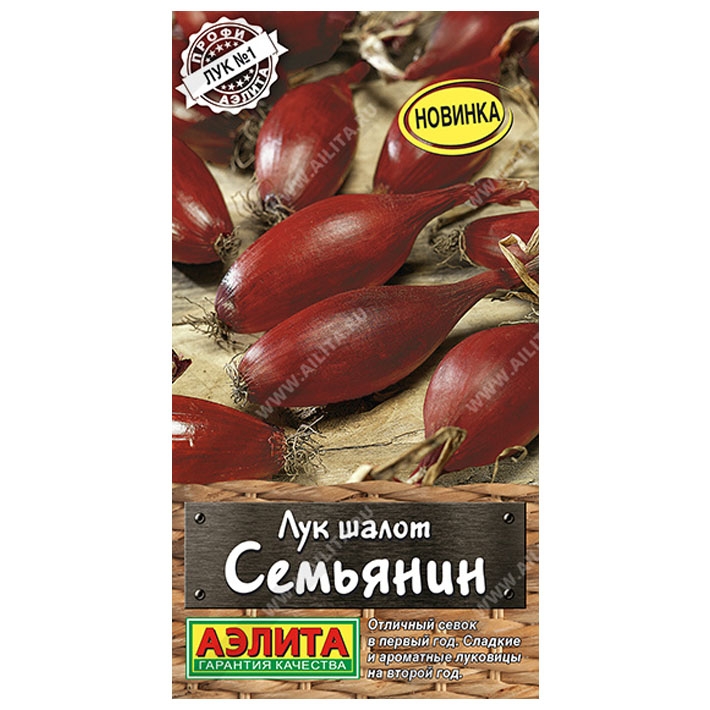 Лук шалот Семьянин