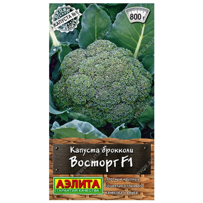 Капуста брокколи Восторг F1