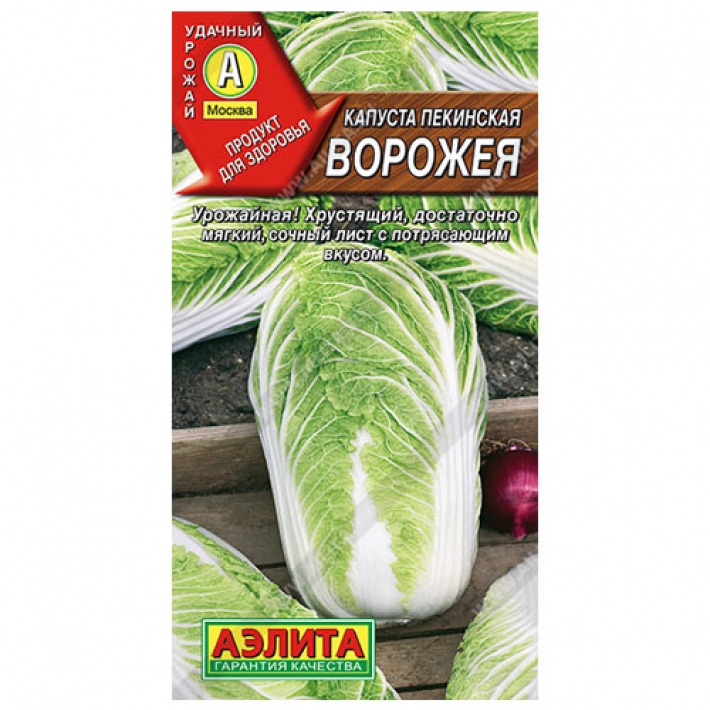 Капуста пекинская Ворожея