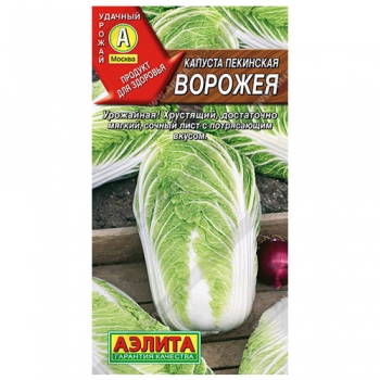Капуста пекинская Ворожея