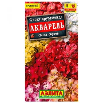 Флокс Акварель, смесь сортов