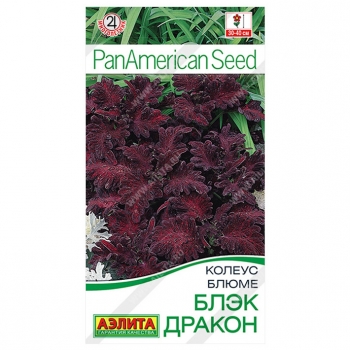 Колеус блюме Блэк дракон