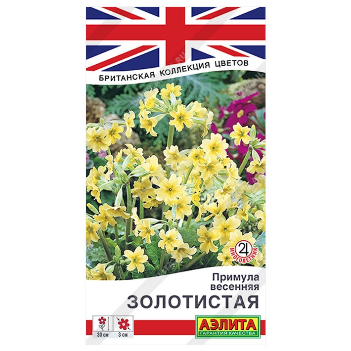 Примула весенняя Золотистая