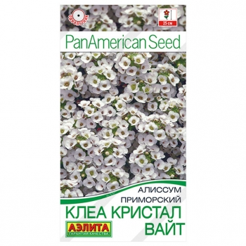 Алиссум Клеа кристал вайт
