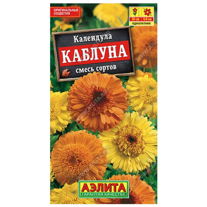 Календула Каблуна, смесь сортов