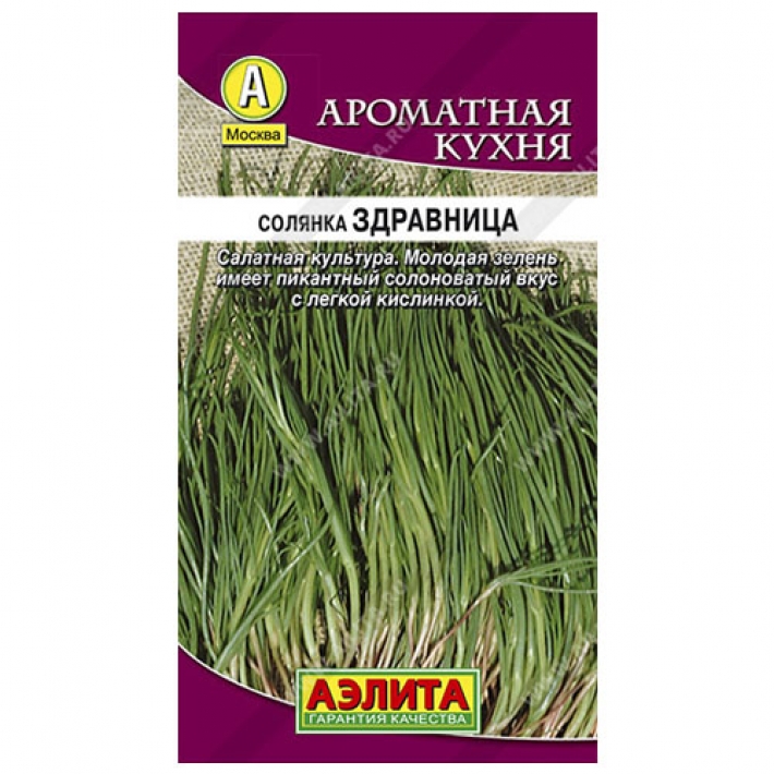 Солянка Здравница