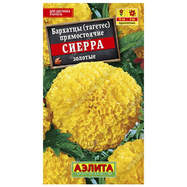 Бархатцы Сиерра золотые прямостоячие