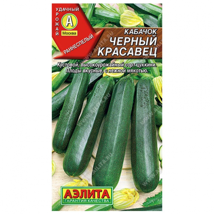 Кабачок цуккини Черный красавец