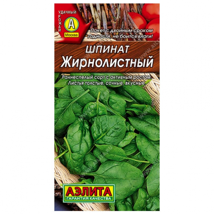 Шпинат Жирнолистный