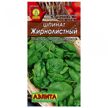 Шпинат Жирнолистный
