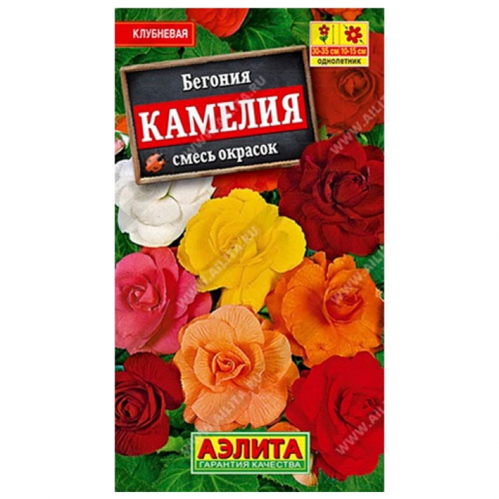 Бегония крупноцветковая Камелия, смесь окрасок