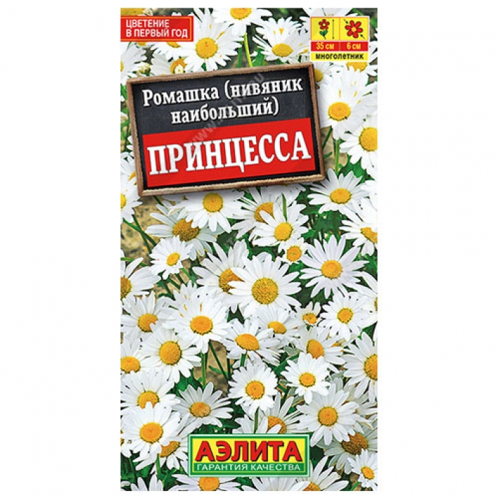 Ромашка садовая Принцесса