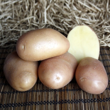Картофель Ажур Э (1 кг)