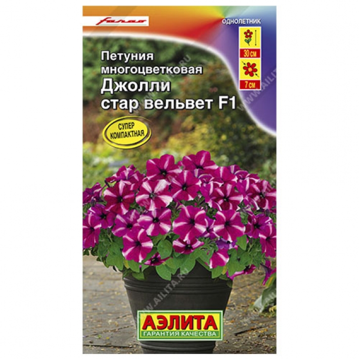 Петуния Джолли стар вельвет F1 многоцветковая