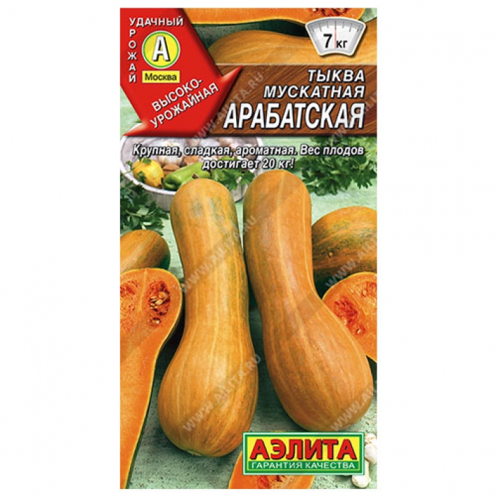 Тыква мускатная Арабатская