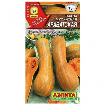 Тыква мускатная Арабатская