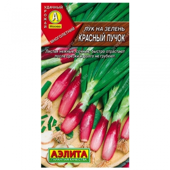 Лук на зелень Красный пучок