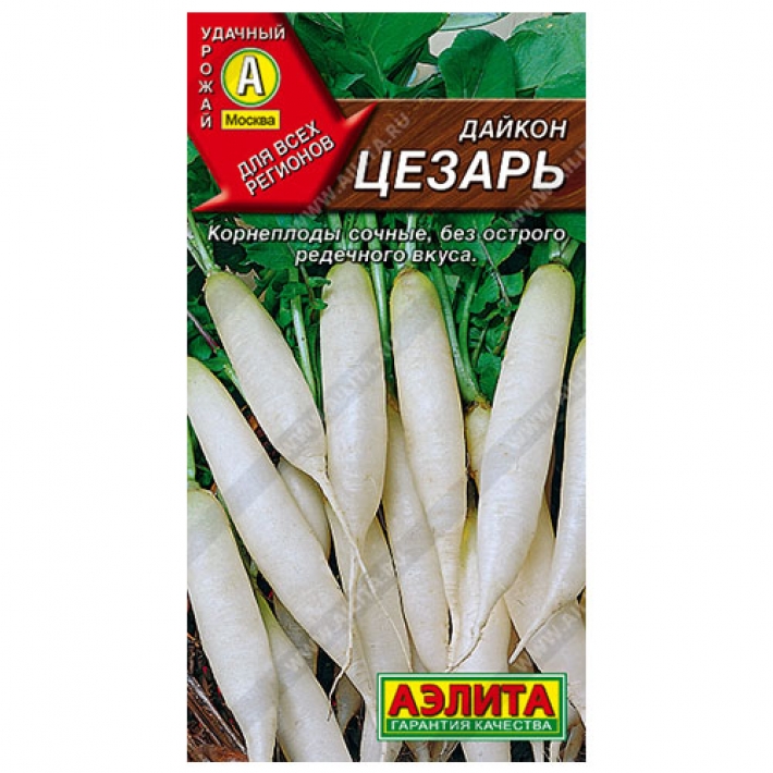 Дайкон Цезарь