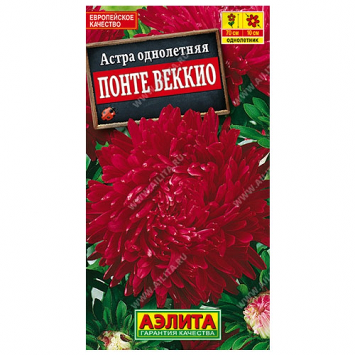 Астра Понте Веккио