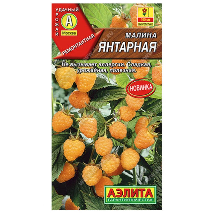 Малина Янтарная