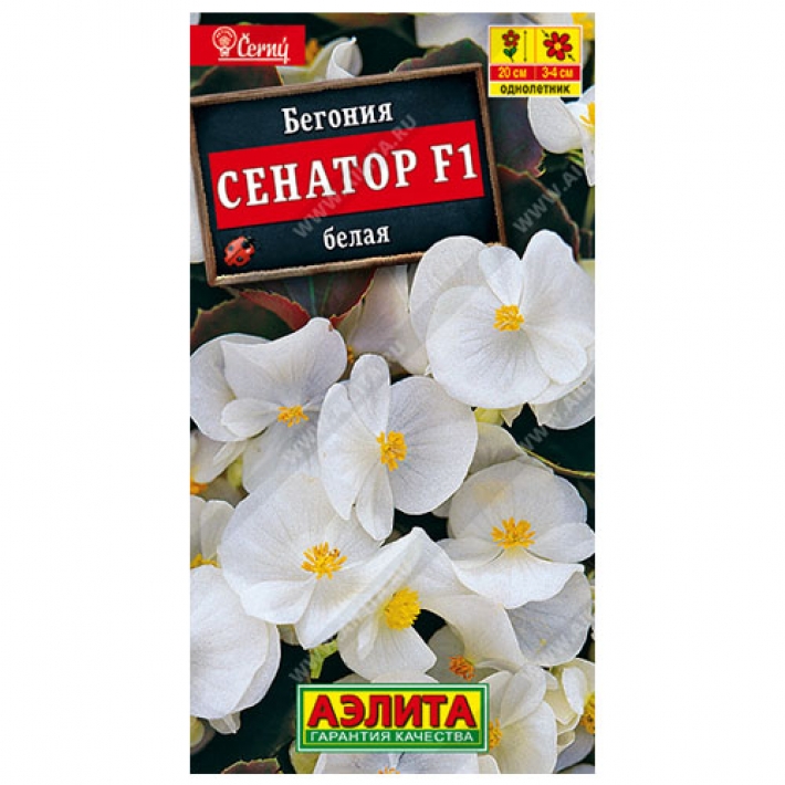 Бегония вечноцветущая Сенатор белая F1