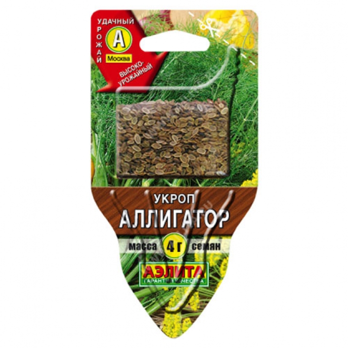 Укроп Аллигатор