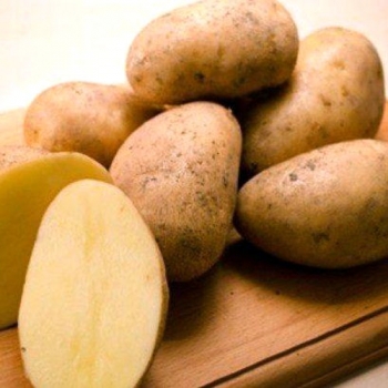 Картофель Колетте Э (1 кг)