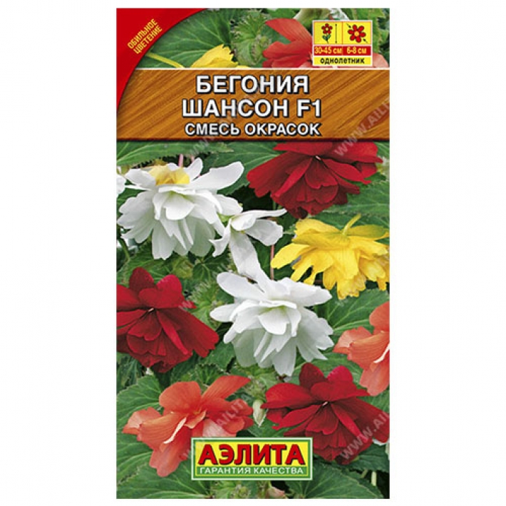 Бегония ампельная Шансон, смесь окрасок F1