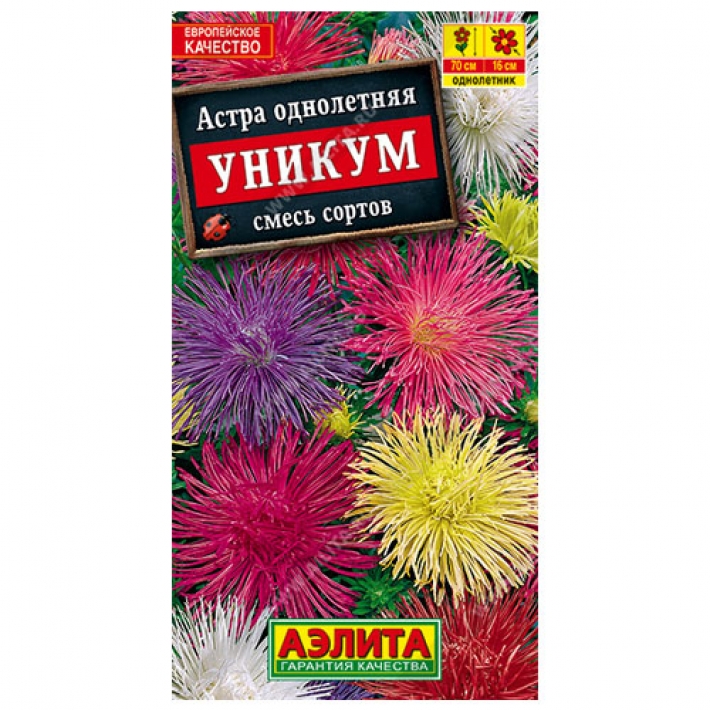 Астра Уникум, смесь окрасок