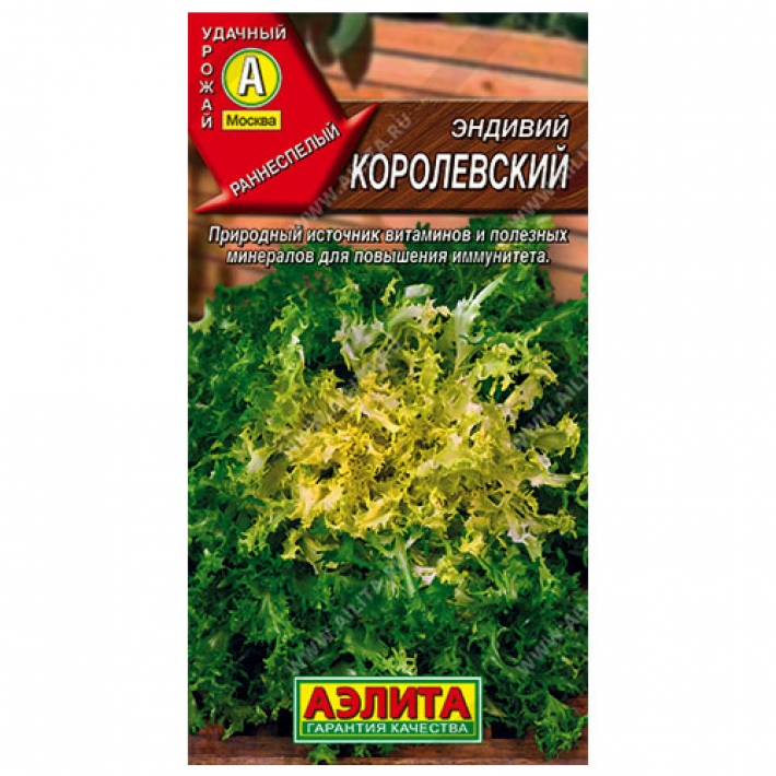 Эндивий Королевский