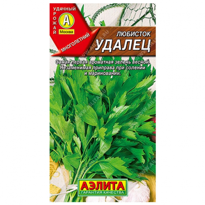 Любисток Удалец