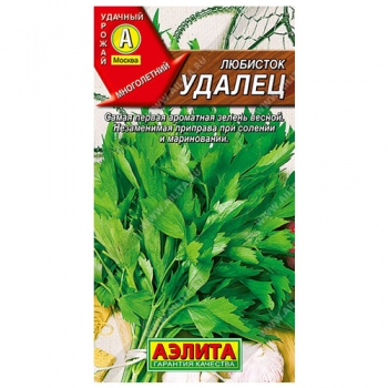 Любисток Удалец