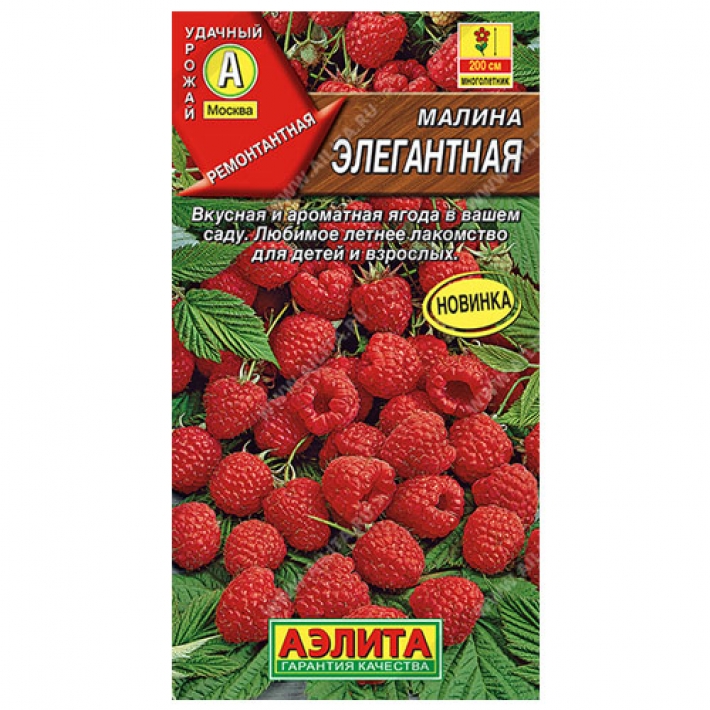 Малина Элегантная