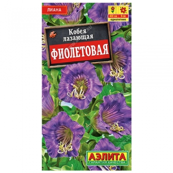 Кобея фиолетовая