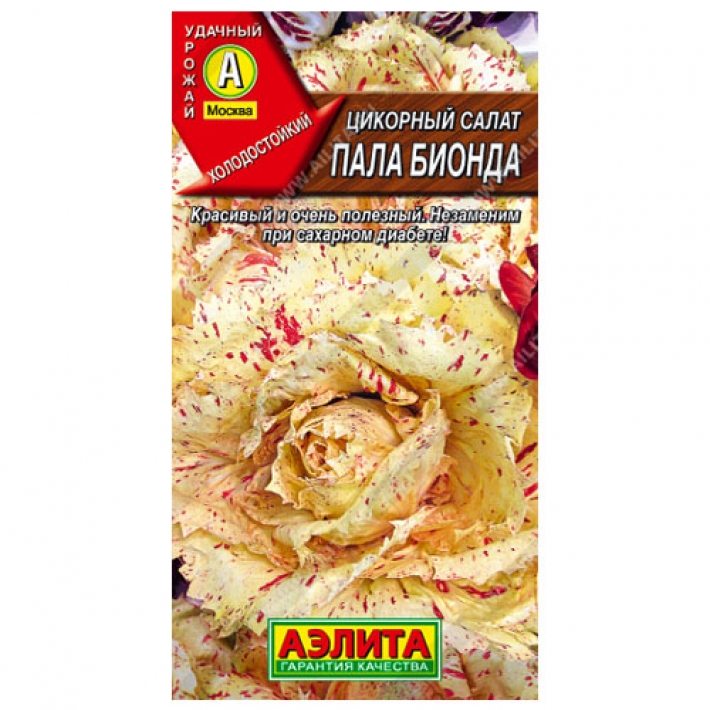 Цикорный салат Пала Бионда