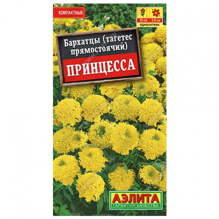 Бархатцы Принцесса прямостоячие