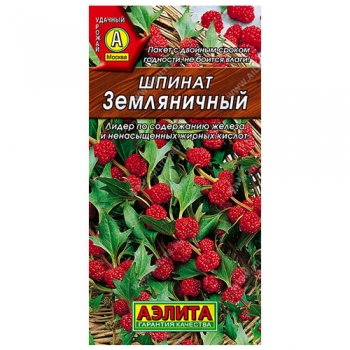Шпинат Земляничный
