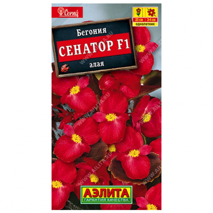 Бегония вечноцветущая Сенатор алая F1