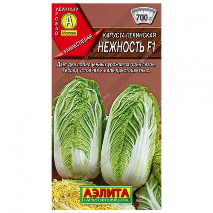 Капуста пекинская Нежность F1