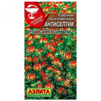 Язвенник Антисептик